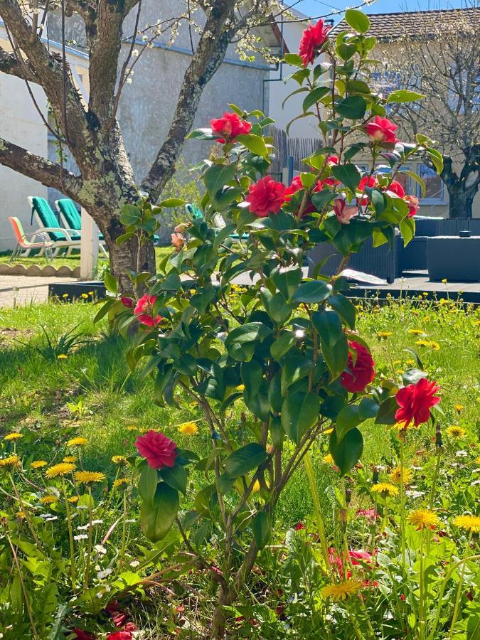 L'Escapade Perigourdine, Wifi, Parking, Netflix, Piscine Villa Coulounieix-Chamiers Bagian luar foto